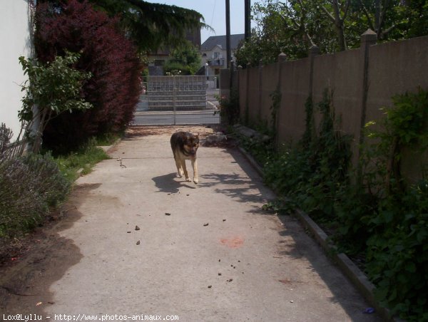 Photo de Croisement