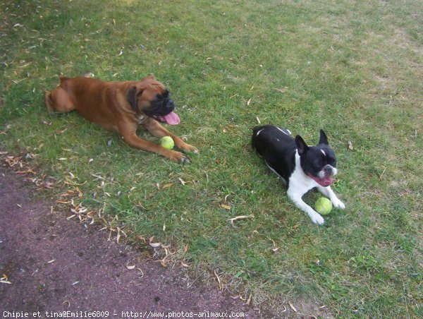 Photo de Races diffrentes