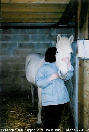 Photo de Camargue