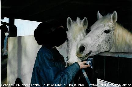 Photo de Camargue