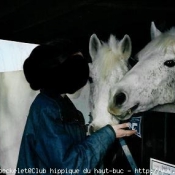 Photo de Camargue