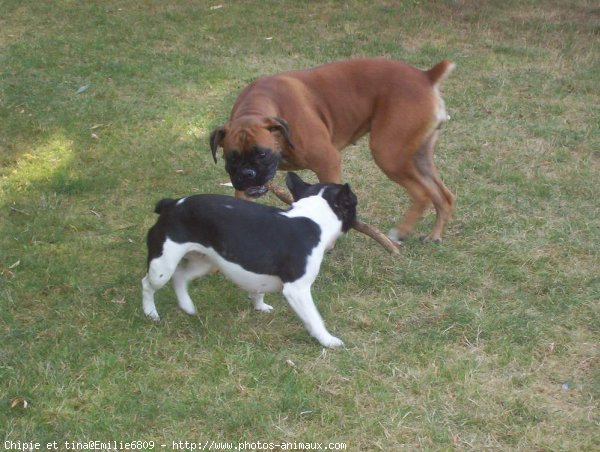 Photo de Races diffrentes