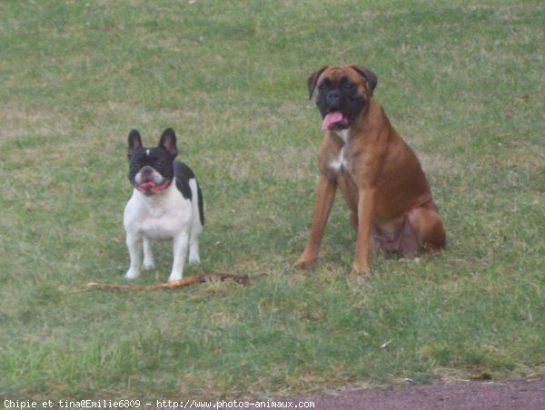 Photo de Races diffrentes