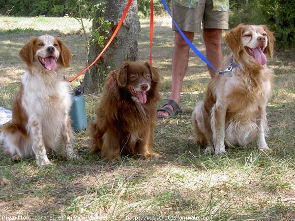 Photo de Races diffrentes