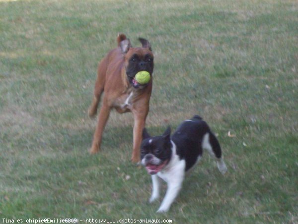 Photo de Races diffrentes