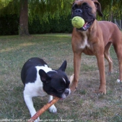 Photo de Races diffrentes