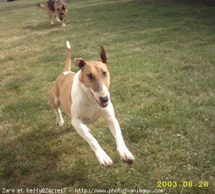 Photo de Races diffrentes