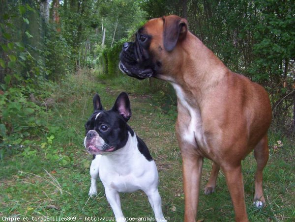 Photo de Races diffrentes