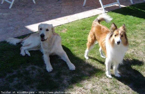 Photo de Races diffrentes