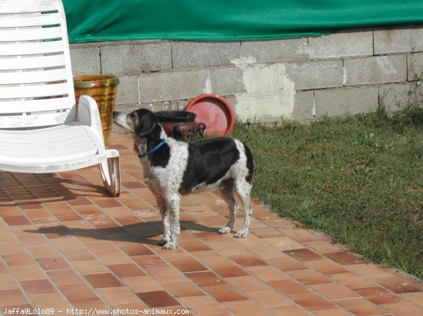 Photo de Croisement