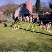 Photo de Races diffrentes