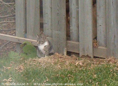 Photo de Croisement