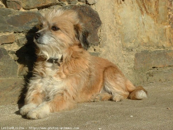 Photo de Croisement