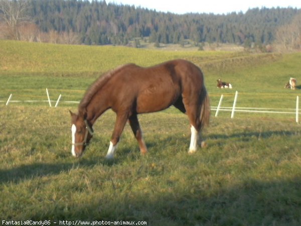 Photo de Suisse