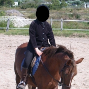 Photo de Poney franais de selle