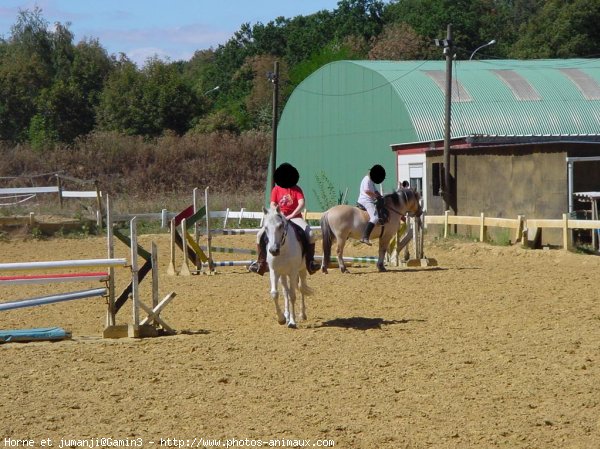 Photo de Races diffrentes