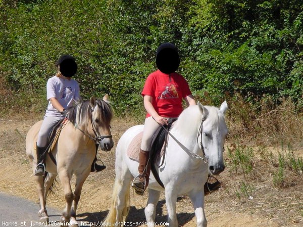 Photo de Races diffrentes