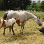 Photo de Races diffrentes