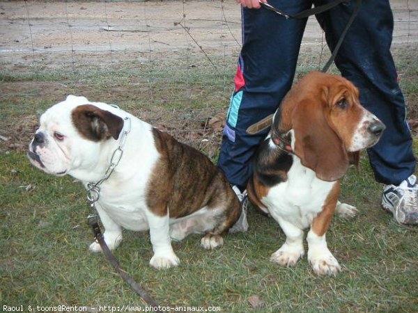 Photo de Races diffrentes