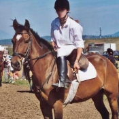 Photo de Poney franais de selle