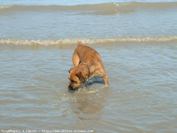 Photo de Croisement