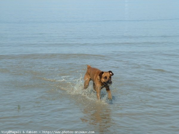 Photo de Croisement