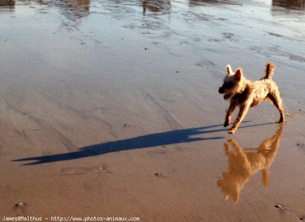 Photo de Croisement