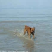 Photo de Croisement