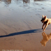 Photo de Croisement