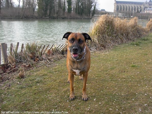 Photo de Croisement