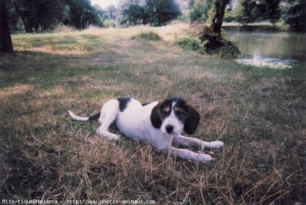 Photo de Croisement