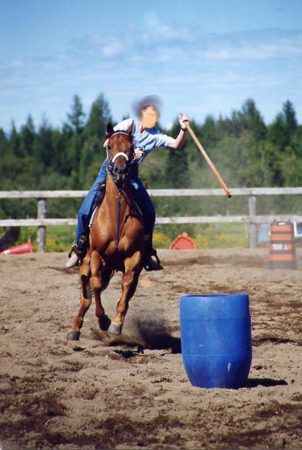 Photo de Quarter horse