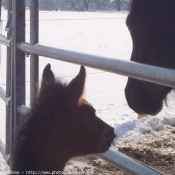 Photo de Suisse