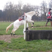 Photo de Camargue