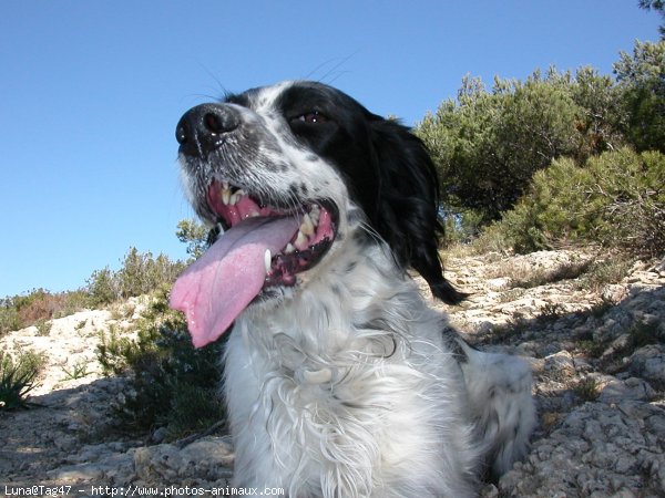 Photo de Croisement