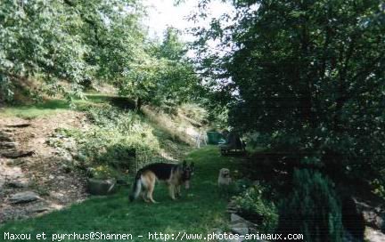 Photo de Races diffrentes