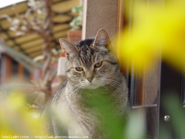 Photo de Croisement