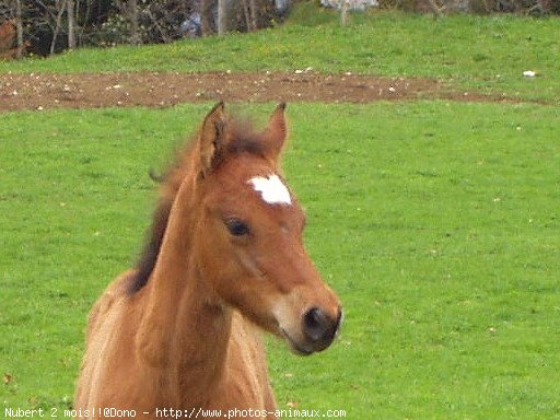 Photo de Suisse