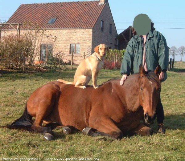 Photo de Races diffrentes