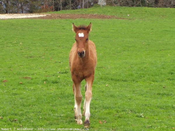 Photo de Suisse