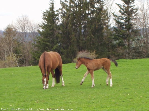 Photo de Suisse