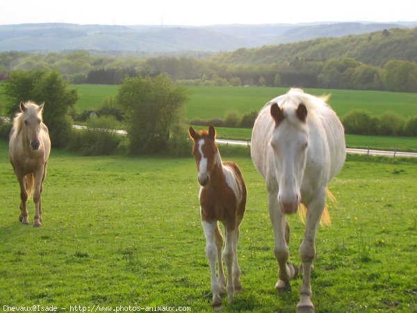 Photo de Ne sais pas