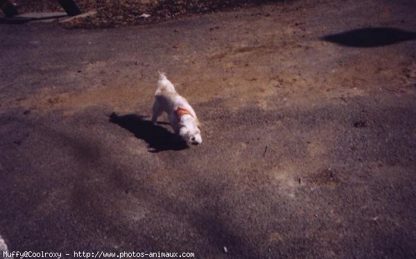 Photo de Croisement