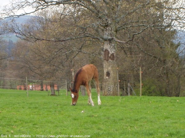 Photo de Suisse