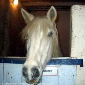 Photo de Camargue