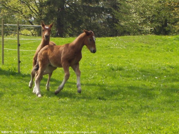 Photo de Suisse