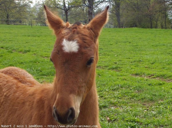 Photo de Suisse