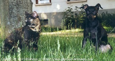 Photo de Races diffrentes