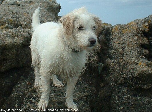 Photo de Croisement