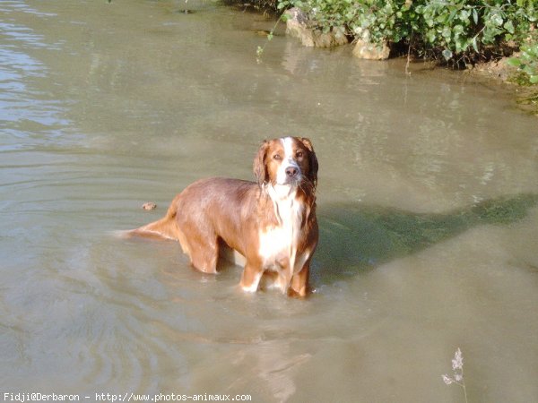 Photo de Croisement